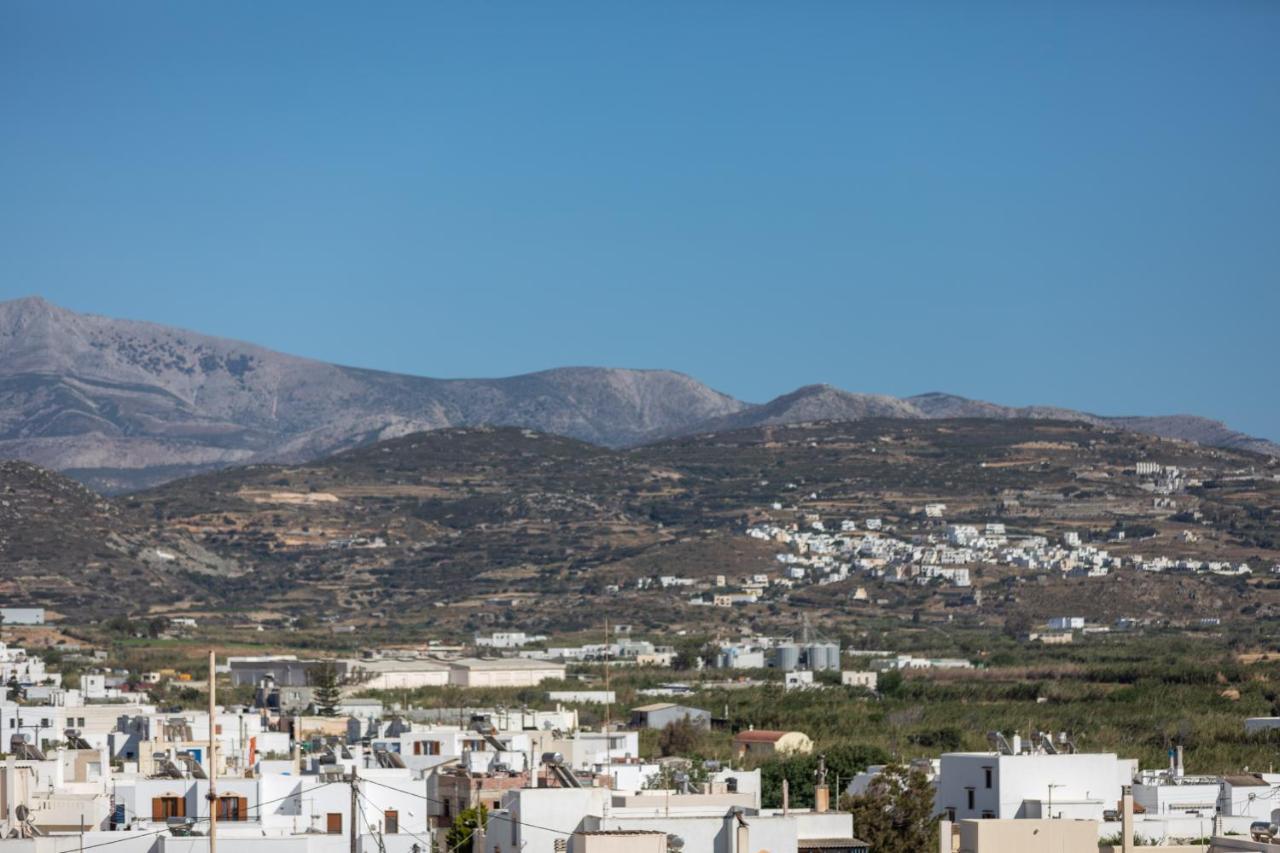 Naxian Icon Luxury Residence Naxos City エクステリア 写真